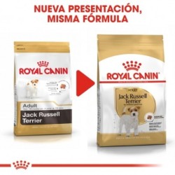 Royal canin pienso para Jack russell adulto