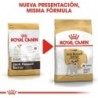 Foto 3 de Royal canin pienso para Jack russell adulto