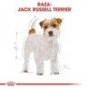 Foto 4 de Royal canin pienso para Jack russell adulto