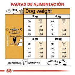 Royal canin pienso para Jack russell adulto