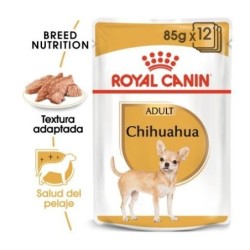 Royal canin comida húmeda para chihuahua