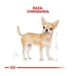 Royal canin comida húmeda para chihuahua