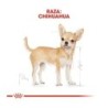 Foto 3 de Royal canin comida húmeda para chihuahua