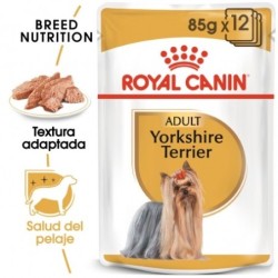 Royal canin comida húmeda para Yorkshire