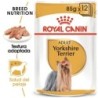 Foto 2 de Royal canin comida húmeda para Yorkshire