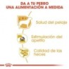 Foto 6 de Royal canin comida húmeda para Yorkshire