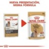 Foto 7 de Royal canin comida húmeda para Yorkshire