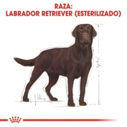 Royal Canin Dog Labrador Retriever Adult Sterilised 12 Kg