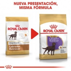 Royal Canin Dog Labrador Retriever Adult Sterilised 12 Kg