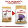 Foto 6 de Royal Canin Dog Labrador Retriever Adult Sterilised 12 Kg