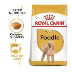 Royal canin Caniche pienso para Caniche