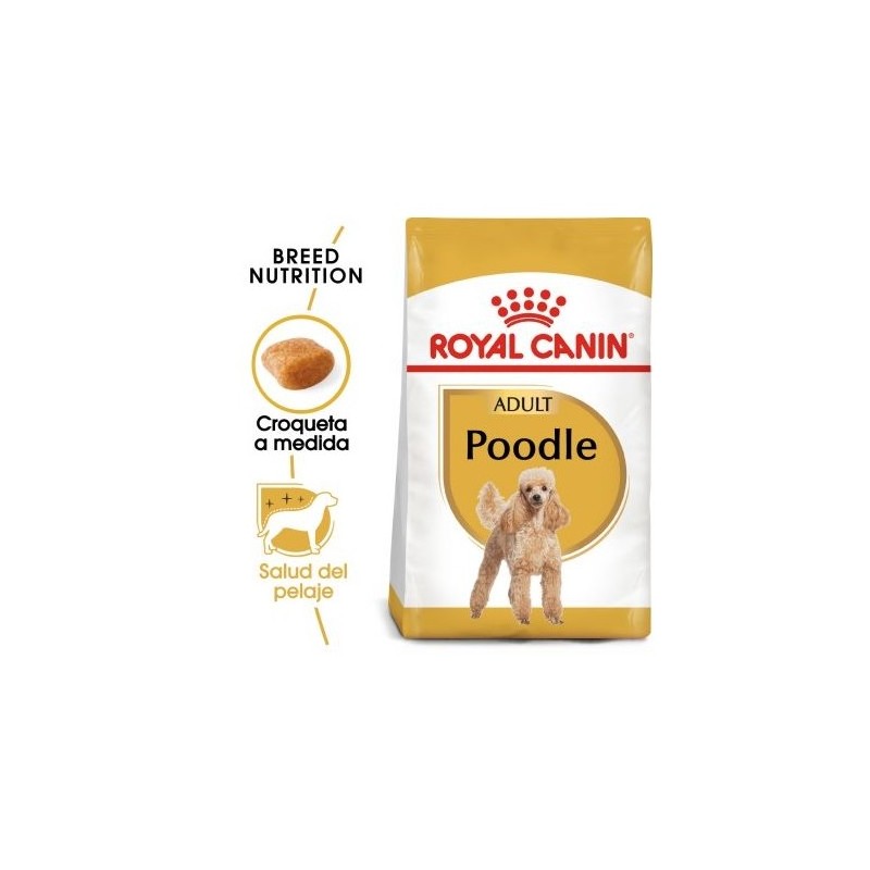 Royal canin Caniche pienso para Caniche