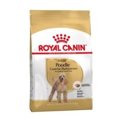 Royal canin Caniche pienso para Caniche