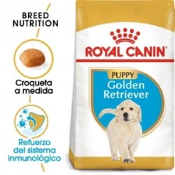 Royal canin Golden retriever junior pienso para Golden retriever joven