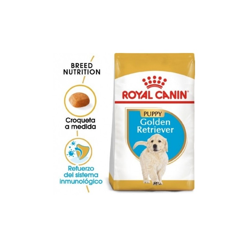 Royal canin Golden retriever junior pienso para Golden retriever joven