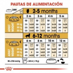 Royal canin Golden retriever junior pienso para Golden retriever joven