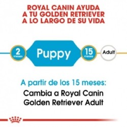 Royal canin Golden retriever junior pienso para Golden retriever joven