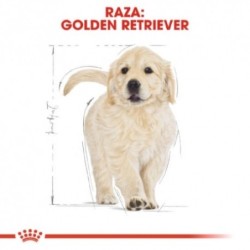 Royal canin Golden retriever junior pienso para Golden retriever joven