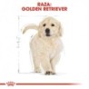 Foto 8 de Royal canin Golden retriever junior pienso para Golden retriever joven