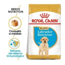 Royal canin Labrador junior pienso para Labrador joven