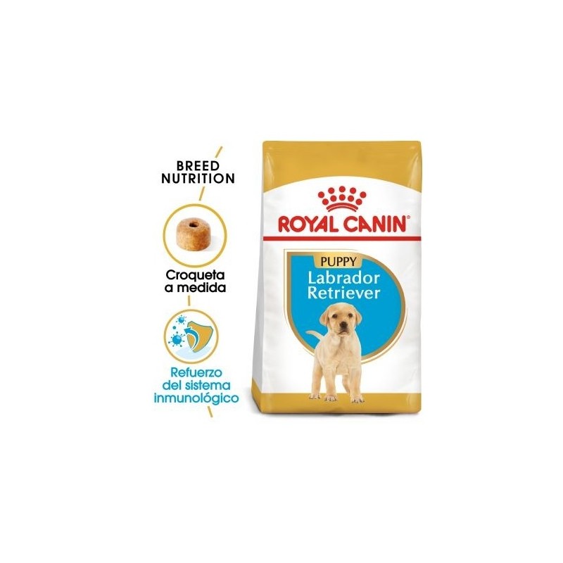 Royal canin Labrador junior pienso para Labrador joven