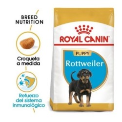 Royal canin Rottweiler junior 12 kg. pienso para Rottweiler joven