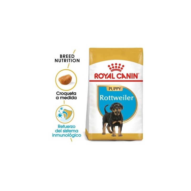 Royal canin Rottweiler junior 12 kg. pienso para Rottweiler joven