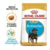 Foto 1 de Royal canin Rottweiler junior 12 kg. pienso para Rottweiler joven