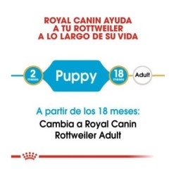 Royal canin Rottweiler junior 12 kg. pienso para Rottweiler joven