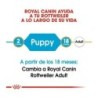 Foto 3 de Royal canin Rottweiler junior 12 kg. pienso para Rottweiler joven