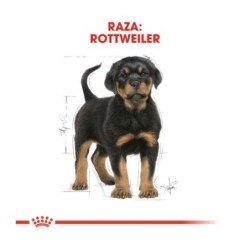 Royal canin Rottweiler junior 12 kg. pienso para Rottweiler joven