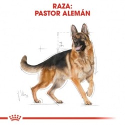 Royal Canin Dog German Shepherd Adult 11 Kg