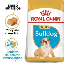 Royal canin Bulldog ingles junior pienso para Bulldog joven