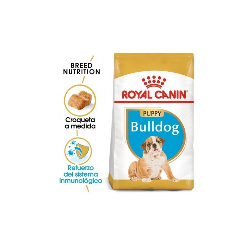 Royal canin Bulldog ingles junior pienso para Bulldog joven