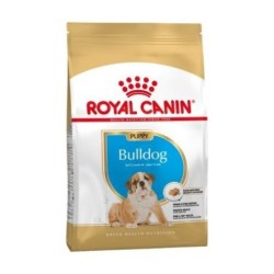 Royal canin Bulldog ingles junior pienso para Bulldog joven