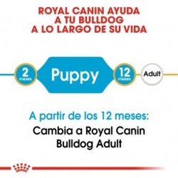 Royal canin Bulldog ingles junior pienso para Bulldog joven