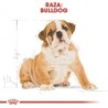 Foto 6 de Royal canin Bulldog ingles junior pienso para Bulldog joven