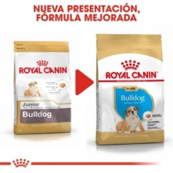 Royal canin Bulldog ingles junior pienso para Bulldog joven