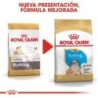 Foto 8 de Royal canin Bulldog ingles junior pienso para Bulldog joven