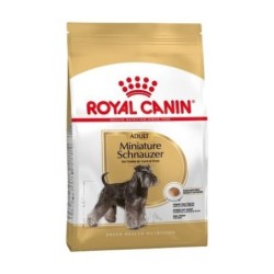 Royal canin Schnauzer pienso para Schnauzer