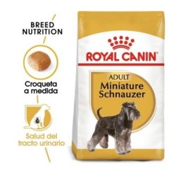 Royal canin Schnauzer pienso para Schnauzer