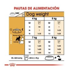 Royal canin Schnauzer pienso para Schnauzer