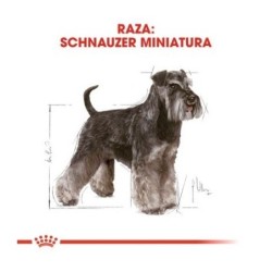 Royal canin Schnauzer pienso para Schnauzer