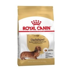 Royal Canin Dog Dachshund Adult 7.5 Kg