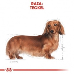 Royal Canin Dog Dachshund Adult 7.5 Kg