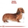 Foto 3 de Royal Canin Dog Dachshund Adult 7.5 Kg