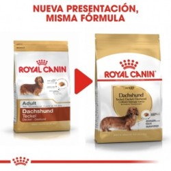 Royal Canin Dog Dachshund Adult 7.5 Kg