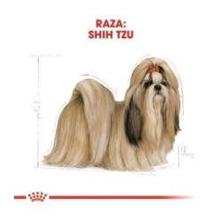 Royal canin Shih tzu pienso para Shih tzu