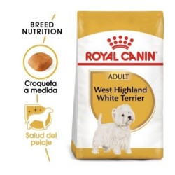 Royal canin Westie pienso para Westie