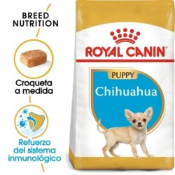 Royal canin Chihuahua junior pienso para Chihuahua joven